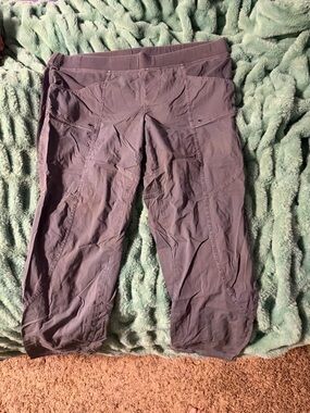 Gray Cropped Active Pants wearables size 3x